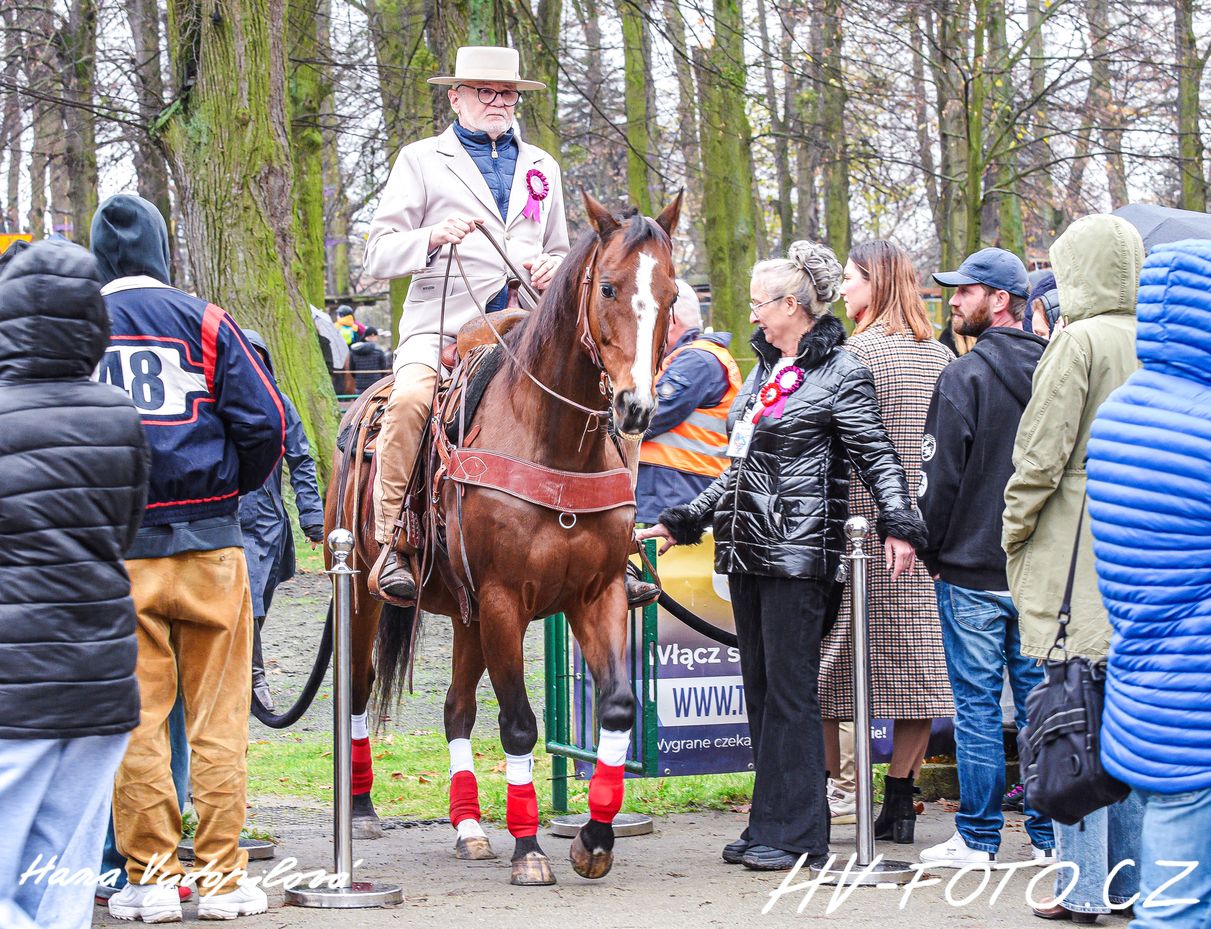 DSC_6145 kopie.jpg